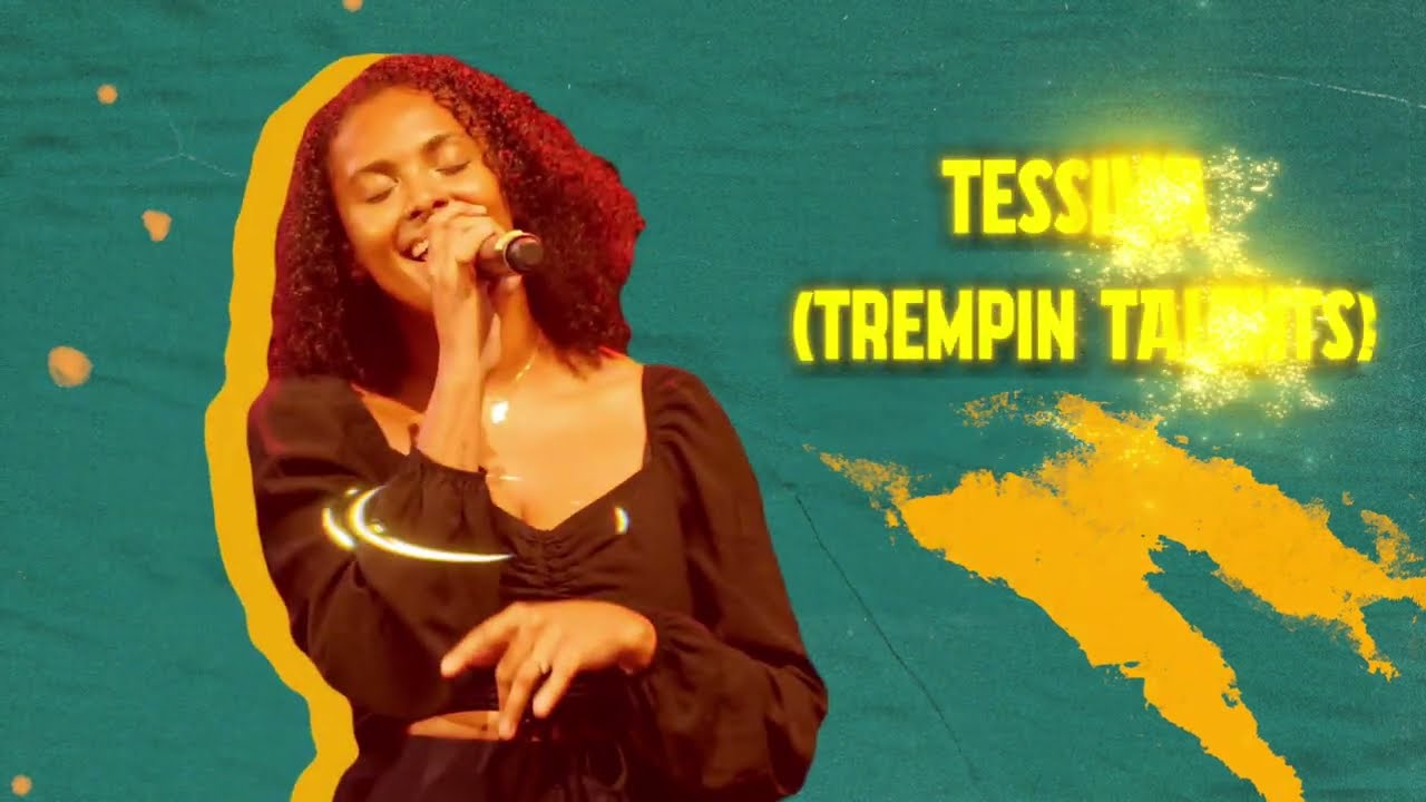 Annonce artiste Terre de Blues